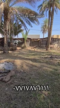 ٣٠٠م • طابو زراعي سند ٢٥ • كربلاء حي العباس