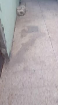 المعملجي • غرفة نوم • بيع/ايجار