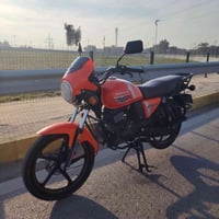 دايوان 2023 • مرقمة ديالى • ماشية ٩٠٠٠