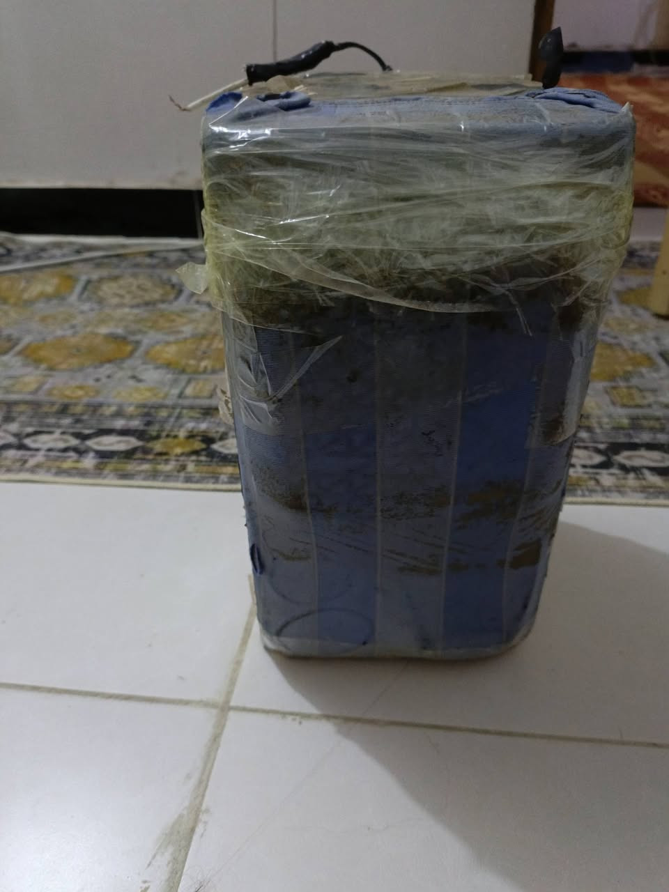 السلام عليكم ورحمة الله وبركاته
مضخم للبيع صوت حلو وواضح بسعر مناسب الشاري يتصل على الرقم التالي 

***********
