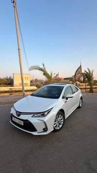 كورلا • ٢٠٢٤ • رقم اربيل