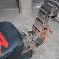 سبايدر باكستاني • مامصبوغة • وزن ثقيل