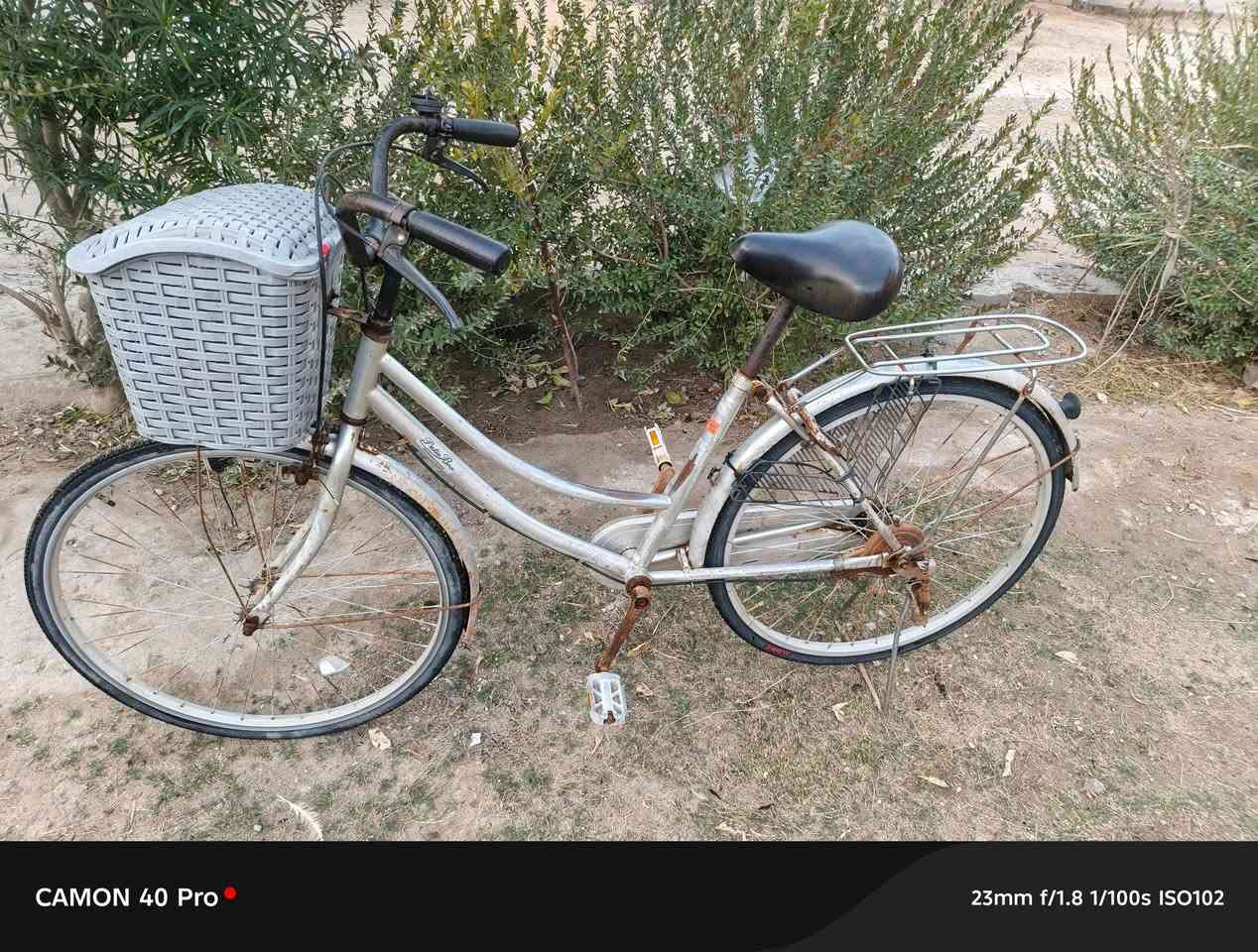 السلام عليكم
 بايسكل ياباني اصلي حجم ٢٦ لون سلفر حلو وسعره مناسب
بسعر ٣٥ الف مكاني مفرق السدة 
***********
