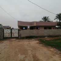 بيت البيع طابو زراعي سند ٢٥ مكان البيت بابل حله خلف جامعت بابل بل القر...