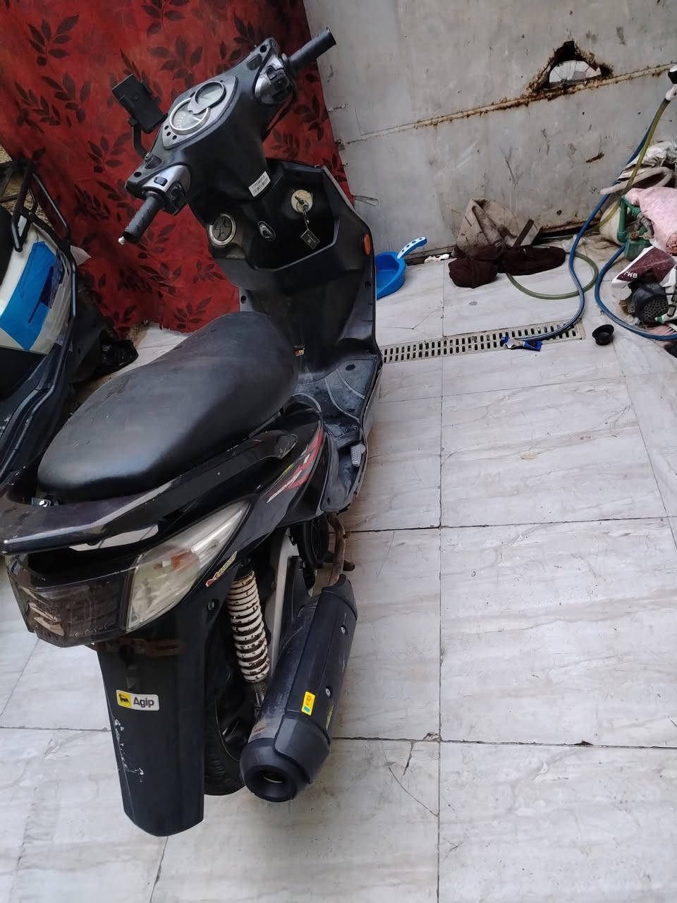 سلام عليكم سكنس فحل كوري موديل 2011 ام الطلاعات كفاله من كلشي فيترك وياك وتعال كلب وفحص كلش حلوه
العنوان بلديات شارع المصرف
الرقم ***********
السعر 800 وبيها مجال للشراي
