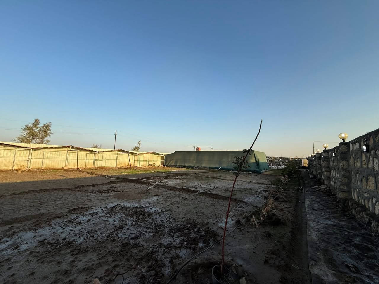 #مزرعة_للبيع – مؤثثة بالكامل
📍 العنوان: الديوانية – نهاية حي الجامعة -زراعي سند 25 
💡 تصلح للسكن والاستثمار

المساحة والمواصفات:
 • المساحة: 1850 متر
 • الواجهة: 70 متر
 • النزال: 25 متر

المحتويات:

🏡 دار سكن جاهز:
 • غرفتين نوم
 • صالة
 • مطبخ
 • صحيات

🏊 مسبح حديث مع منظومة فلاتر كاملة

       -المسبح حار بارد 
       -دولفين ٢ للمسبح 
        -شلال للمسبح 
       -المنظومه مع ماطور وجهاز كلور 
        -المسبح نضام سكمر

⚡ مولدة يابانية 75 أمبير تعمل على الغاز والبنزين
    -وتحتوي ع بلازما عدد 2 حجم 75 
    -غرف نوم عدد 2 كاملات
        -سبالت عدد 3 
     -منظومه كامرات 
            -جهاز بلي ستيشن فايف
          -مبردات عدد 2
          -تانكي ابو 2000
          -ميز بليارد 
          -كاونتر كامل
          -ثلاجه 
          -مجمده
💧 خزانات ماء جاهزة للاستخدام

🔥 3 شوايات

🦅 طول المحميه مساحة 48 متر 
💦 3 نافورات
——————————————-
#متابعة_الصفحة
#نستقبل_جميع_عروضكم
———————————————————
🔺#للاستفسار الاتصال ع الارقام
*********** 📲 ارشد
*********** 📲  حسن 
—————————————————————
رابــط عروض https://wa.me/c/9647766761477
—————————————————————
او زيارة مكتبنا متواجدين 11 صباحاً إلى 8 مساء 
🔺مكتب دره المشرق للاستثمار والتطوير العقاري 
🔺العنوان:-حي الجزائر الشارع العام قرب مأكولات تشرين
