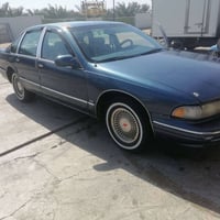 دولفين مجول • ١٩٩٥ • ناصريه