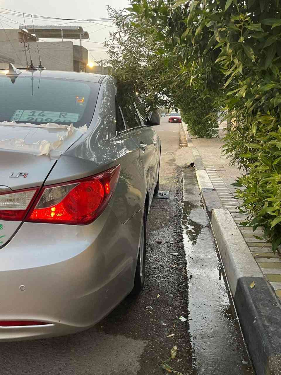 السلام عليكم سياره سوناته مديل14وراد امريكي سياره جهازه من حداده وتبريد سياره متعوب عليه
مواصفاته..
1_كشنات كهرباء
2_رادار امامي وخلفي
3_تحكم ستيرن كهرباء
4_مثبت سرعه
5_مرايات شفط
6_سياقه ذاتيه
غرفه جديده شاشه جديده وبيه هواي مواصفاا
سياره بسمي ورقم نكليزي سنويه تسوه مجدده
(ضرره) مدكر امامي بدون دواخل شراي خاص ولتواصل ***********
***********
سعر (103) وبيه مجال
