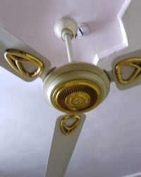 باوربانك • أصلي