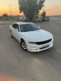 بغداد • باجر الفجر • مشاركة مشوار