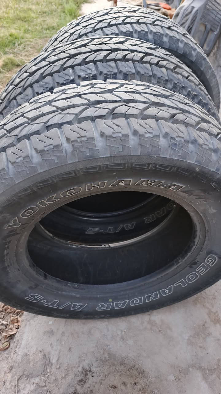 تايرات لاندگروز نوع يوكاهاما ATS
سنة الصنع: 2022
القياس: LT 275/65 R18
السعر 150قفل
لتواصل خاص


**إذا كنت صاحب هذا الإعلان وتريد حذفه لأي سبب، رجاءا أرسل رسالة إلى الدعم الفني**