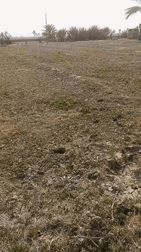 نص دونم للبيع سند 25  واجهه 20 مكان كلش قريب وكلشي متوفر، ينفع سكن حصر...