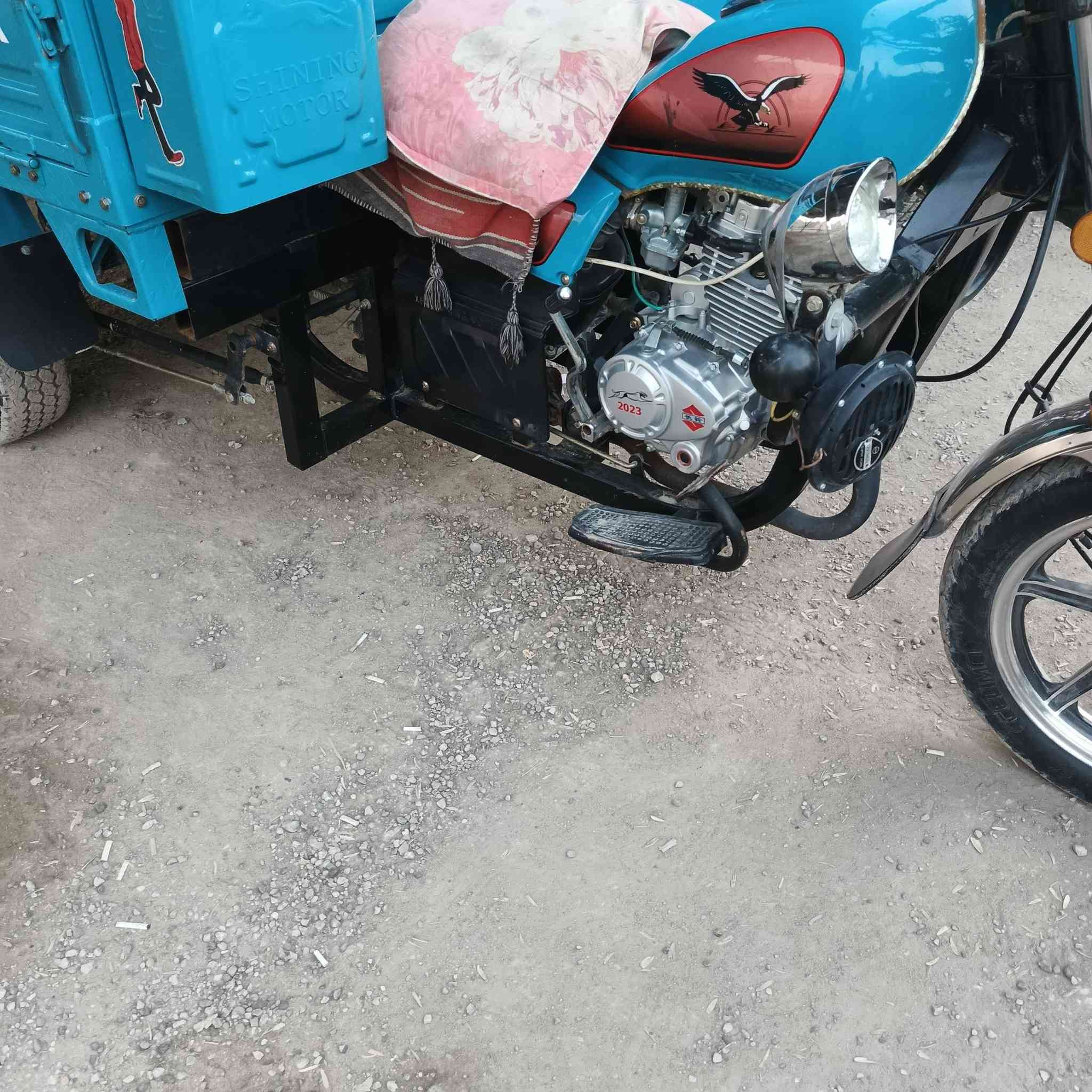 ستوته بلال مديل 23 نظافه فولل، حله سعر خاص   ***********
