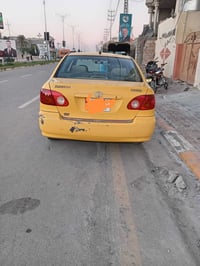 كورله • نحله ٨