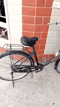 السلام عليكم شباب بايسكل للبيع حجم 26 مكاني بالكوت الشرقيه سعره 70 او بي مجال ***********
