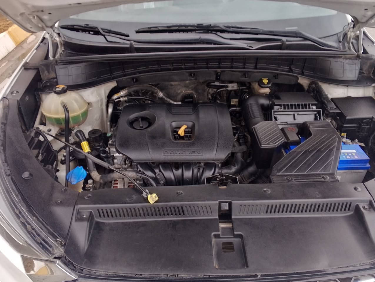 توسان ٢٠٢٠ شركت الكاصد ٥ عدسات فول الفول  ماكو داعي اشرح المواصفات فول نضيفه جدن  كلش حلوة مكينه ٢٠٠٠ دوش مكينه وكير بلاد ما مفتوح بدون تنقيص بدون بخار السيارة بهه بنيد وجاملغ مصبوغ و الجاملغ الثاني شويه بي صبغ نص والباقي مكفول بيع أو مراوس العنوان بغداد الكرخ حي الجهاد ١٧٨ وبيهه حك جيتك ***********
