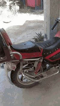 جونده أوراق اصولي سعر 275قفل الدراجه يرادله ترتيبات كعكات مال صانصه وهندره ترايك لبصره *********** مكاني حله سياحي
