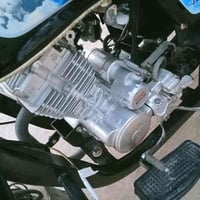 ستوته • موديل 23 • أوراق اصولي