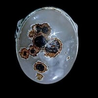 داودي يمني • قديم • حلة بابل