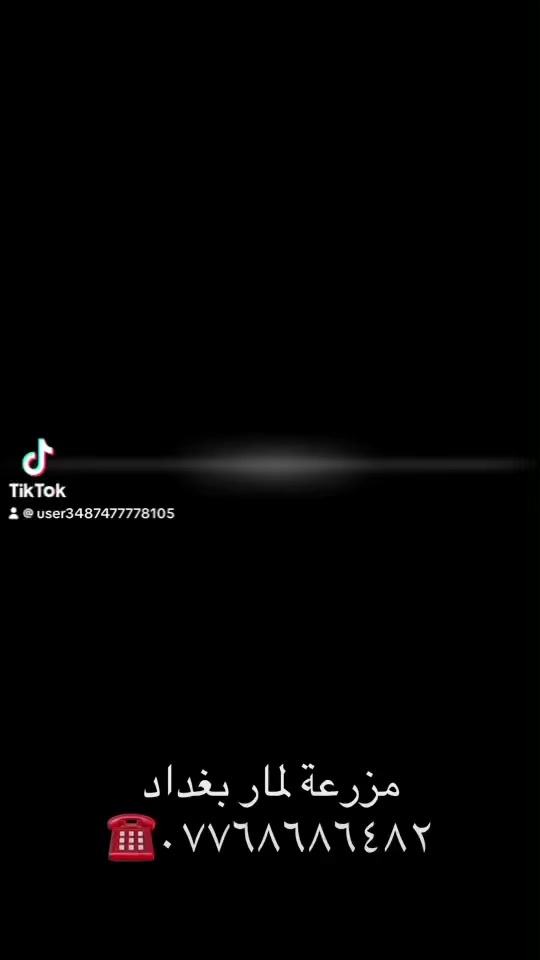 �✨ مزرعة لمار  بغداد  بحلتها الجديدة 2026 غير شكل! ✨🌿
📲 للحجز والاستفسار الاتصال على الرقم  
***********
‏(واتساب )او على مواقعنا 
📅 حجوزات 2026 بدت من هسه

تريدون مكان يغير جوكم ويخلي اللمة أحلى؟
تريدون هدوء، خصوصية، وخضار يرد الروح؟

مزرعتنا هالسنة متجددة بالكامل حتى تعيشون أجواء ما تتعوض 🌳💚
🌊مسبح كبيرحجم(10*5)بنظام فلاتر المانية 
🔥 جلسات مرتبة وواسعة
🌿 مساحات خضراء تفتح النفس
🏡 خصوصية تامة للعوائل
📸 مكان مثالي للصور والمناسبات
👨‍👩‍👧‍👦 تصلح لللمات، أعياد الميلاد، والجمعات الحلوة

سوينا كل تفصيل بحب حتى تكونون مرتاحين 100٪
واللي يجرب مرة… يرجع يحجز مرة ثانية 😉✨
مزرعة مثبتة على موقع اجرلي 🌷🌷🌷

#مزرعة_للإيجار #لمة_حلوة #أجواء_ريفية #استرخاء
