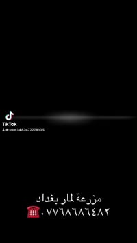 �✨ مزرعة لمار  بغداد  بحلتها الجديدة 2026 غير شكل! ✨🌿 📲 للحجز والاستفس...