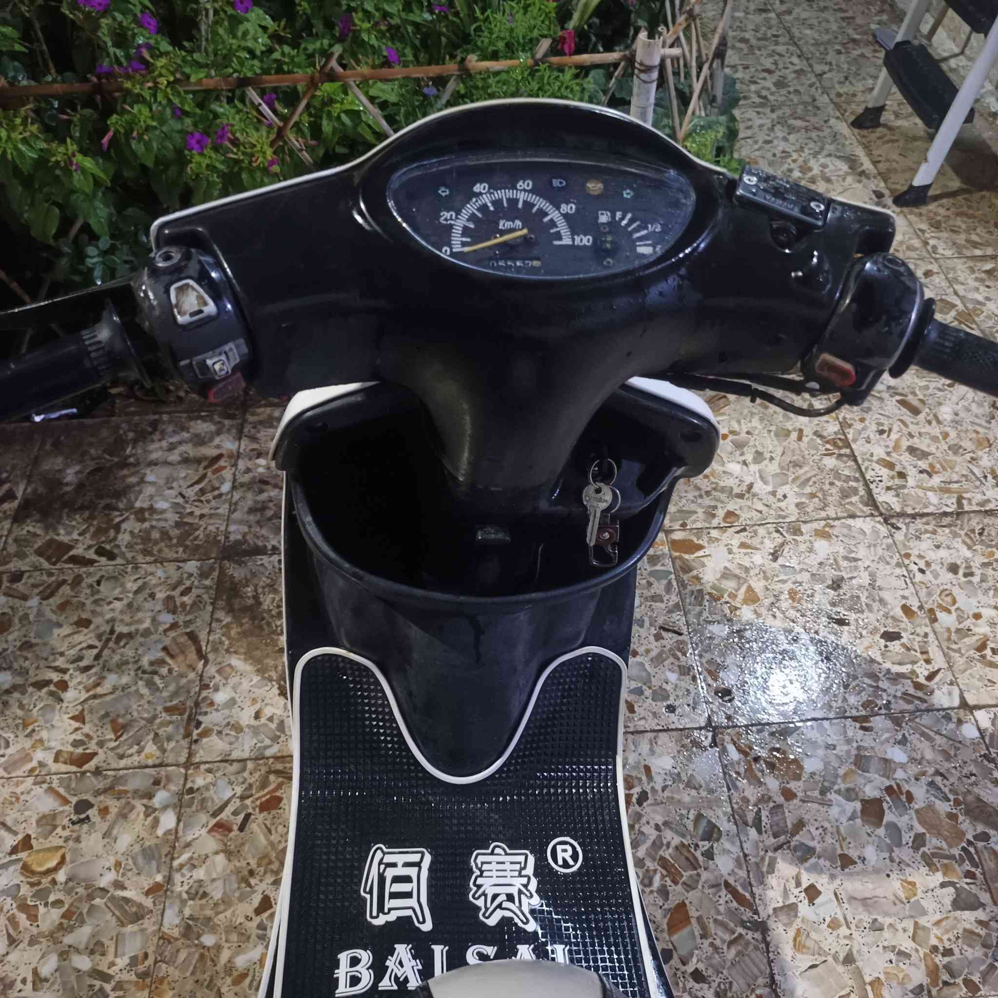 السلام عليكم دولفين للبيع
كهربائيات شغالة هندر سلف نكرة نهضه قويه دراجة نضيفه ماعوزهة شي سعر 350 قفل
***********
