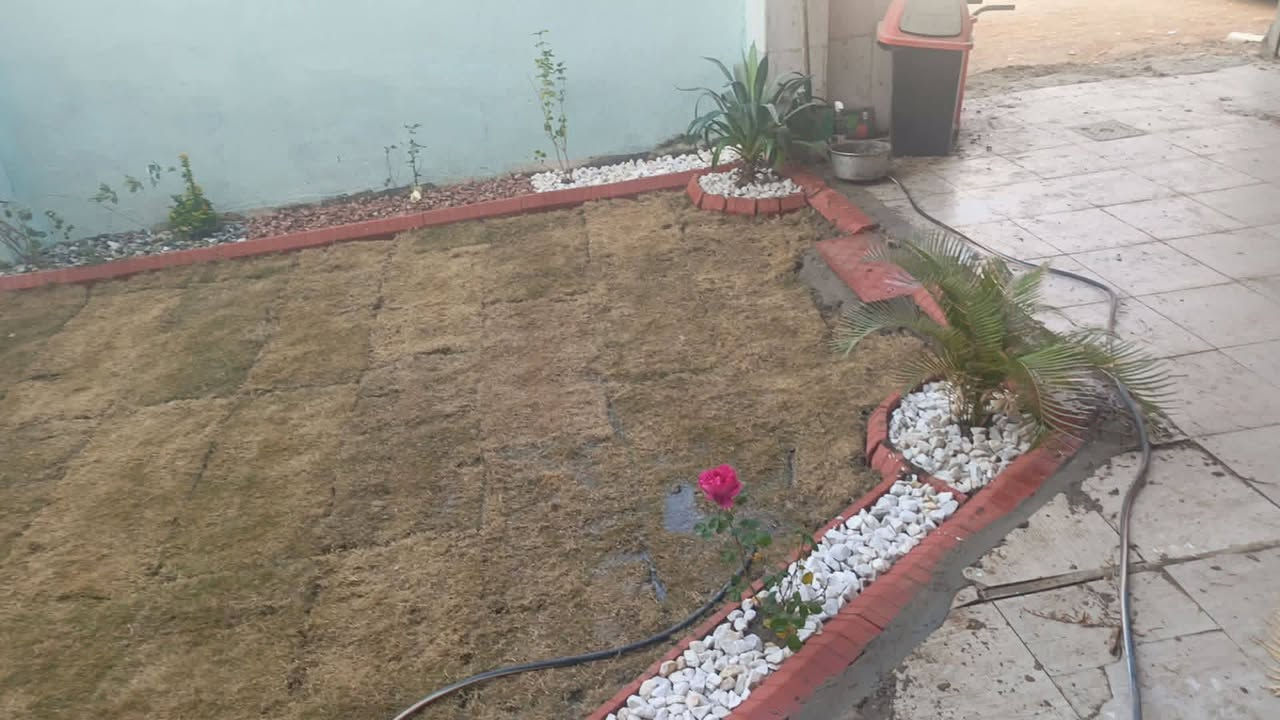 تم اليوم بتاريخ 2026/1/23 نجاز حديقه في الحله/المهندسين
للاتصال *********** او مراسله وتس اب
