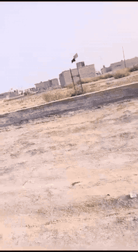 قطعة ارض زراعي مساحة 150 واجهة 12 متر ونزال 12.5 متر الناصرية مركز بين شركة نفط ذي قار وسجن الناصرية الاصلاحي يفصلها عن السجن مناطق سكنية ومحلات تجارية وسوق متكامل صيدليات وعيادات طبية مكانها مقابل مجمع الرحمة الطبي نزلة مجمع الانوار للاجهزلية الكهربائية والانشائية المنطقة خدمات كاملة ما عدا التبليط مشمولة بخطة الحكومة  يفصلها عن الشارع العام بستان بظهر مجمع الانوار هذا رقم التليفون اي استفسار بالخدمة ***********
