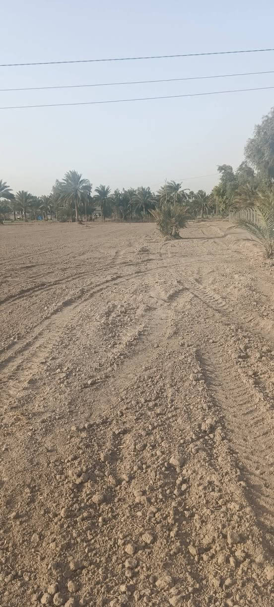 سلام عليكم ورحمه الله وبركاته
يوجد لدينا  3دونم للبيع طابو زراعي سند 25 شرط التحويل 

العنوان حله بابل قرب البوابه مال حله نجف 

خدمات مي كهرباء مولد شارع خاص بالأرض 

مسافه من البوابة أو شارع العام حوالي ٢ كم متر 

باقي التفاصيل اتصال على الرقم التالي *********** واتس اب
