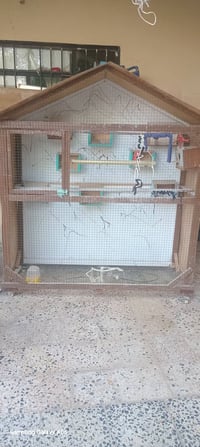 قفص بلابل للبيع للاستفسار على الرقم07739622343
