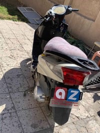 سكنس • كفاله • على الفحص