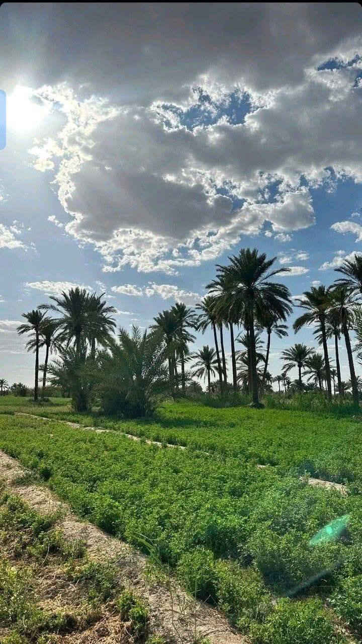 سلام عليكم
✅فرصة العمر لامتلاك أرض زراعية بسعر مناسب 🛑
✅لمساحة:18دونم 
✅سعرالدونم 7مليون وبي مجال 
تباع تقطيع الوجهه 50والنزال 50 💎
💧 مي وكهرباء متوفرة 
✅ السند: 25 على طابو الفلوجة الموقع: منطقة العيساوية مقابيل جسر رعود 
ثاني يوم فتح بيان بسم المشتري مباشر ✅
 موقع استراتيجي ومميز جدًا
 للاستفسار تصال (واتساب: ✅*********** ✅
