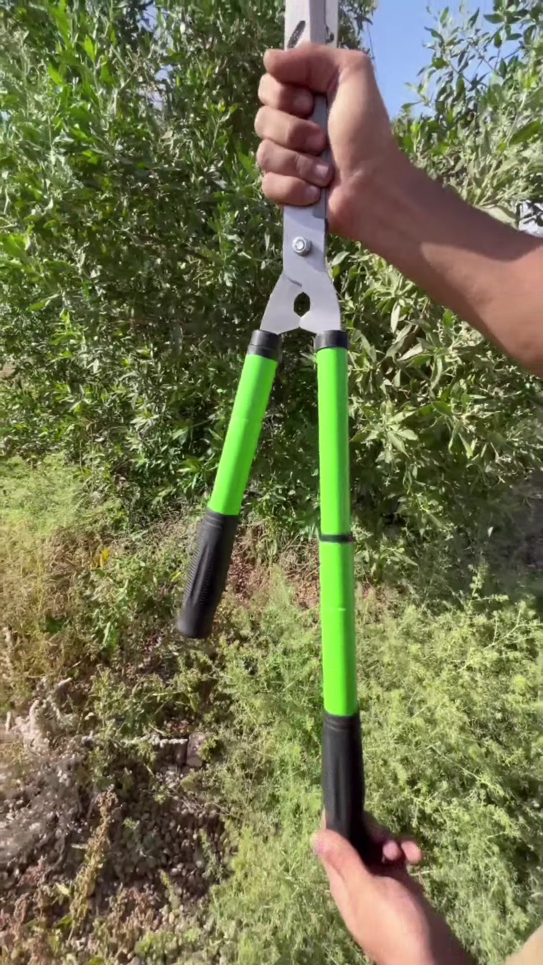 حديقة بيتك محتاجة ترتيب والأغصان العالية متعبتك؟ 🌳✂️
سعر 20 الف فقط. توصيل مجاني 

مقص الأشجار الاحترافي بالمقابض التلسكوبية هو الحل الأمثل! 🔥

يمتد من 55 إلى 75 سم عشان تطول أبعد غصن بدون مجهود 🦾

شفرات فولاذية حادة جداً بفتحات ذكية تمنع التصاق الأغصان ✨
#أشجار  #مقص  #تقليم_الأشجار  #زراعة


**إذا كنت صاحب هذا الإعلان وتريد حذفه لأي سبب، رجاءا أرسل رسالة إلى الدعم الفني**