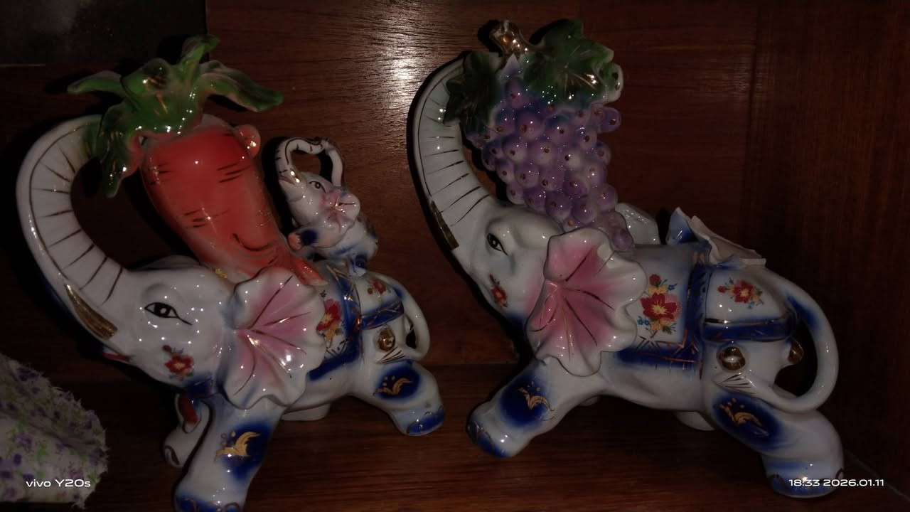 الــسلام عـلــــيكم
للبيع تحفيات شلع مفرد مابيع 
الاستفسار الاتصال على الرقم التالي 
*********** واتساب
