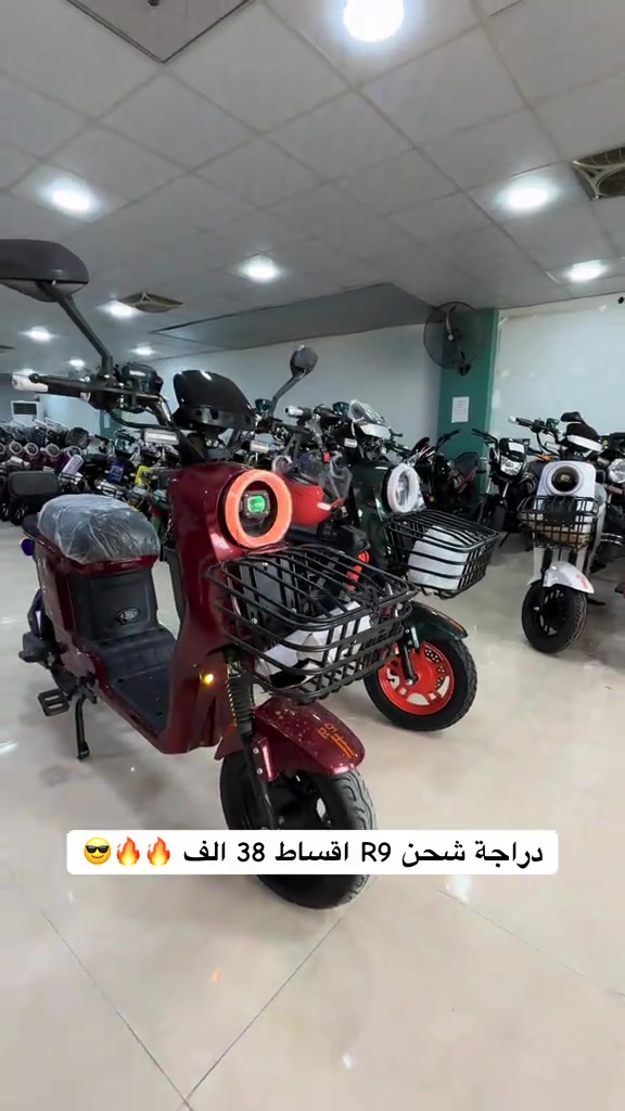 دراجة شحن R9 اقساط 38 الف 🔥🔥😎#شركة_امواج_ديالى #بعقوبة #خلف_الاسواق_المركزية 


**إذا كنت صاحب هذا الإعلان وتريد حذفه لأي سبب، رجاءا أرسل رسالة إلى الدعم الفني**