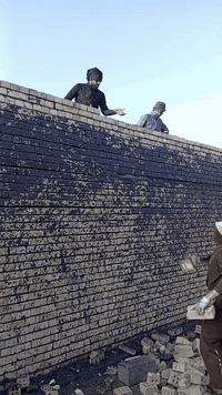 السلام عليكم خلفه بناء
بلوك طابوق من بغداد
ع الدبل او قطعي
شغل درجه اوله وزن قياسات
نضافه والتزام بلعمل
*********** والرزق ع الله
