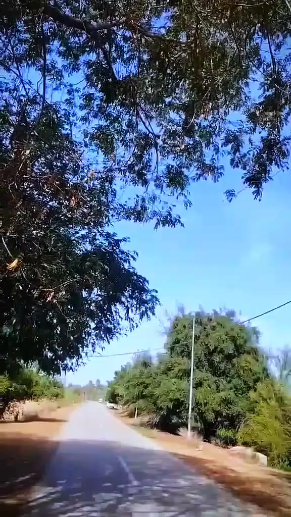 سلام عليكم درجه لبيع شاصي 14 تعميره 25  اورق صولي سعر 800 بيه مجال  قضاة لموفقيه ***********
