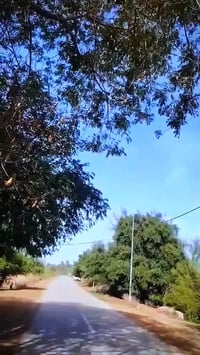 نامه • شاصي ١٤ • اوراق اصليه