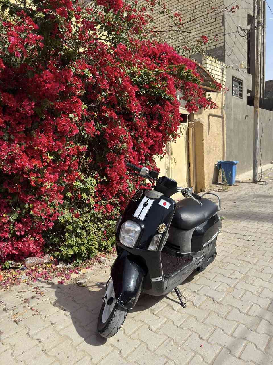 للبيع ماكس بوليس كربلاء حي العامل 850وبيها مجال


**إذا كنت صاحب هذا الإعلان وتريد حذفه لأي سبب، رجاءا أرسل رسالة إلى الدعم الفني**