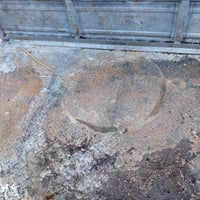 كربلاء الحسينيه • موديل ٢٠١٩ • محرك ناعم