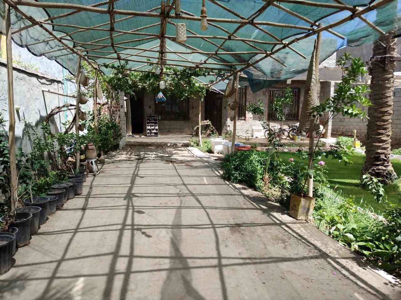سلام عليكم مكلف بل نشرررر الشراي يتصل عل رقم*********** بيت للبيع على طريق الزوار 
بسعر 240 مليون وقابل للتفاوض 
🛑 الموقع / كربلاء طريق بغداد عامود 60 خلف كلية الصيدلة و مقابل جامعة الزهراء ع و معهد التوحد سايد المشاية والزوار يبعد عن الأمام 5 كم 10 دقائق بالسيارة البيت داخل الفرع نزال 900 م عن شارع بغداد الرئيسي السريع
🛑 المساحة/ 500 م 
🛑 نوع السند/ طابو زراعي سند 25 اقرار محكمة من صاحب الأرض 
🛑 تفاصيل المنزل/ يحتوي على دار بمساحة بناء 200 م متكون من طابق اول يحتوي عدد 2 غرف نوم و استقبال وصالة كبيرة و مطبخ كبير وصحيات و ممرات داير البيت ، وطابق ثاني يحتوي على غرفة نوم واحدة مع صحيات ، خدمات كاملة ماء كهرباء المنطقة هادئة جداً ويحتوي البيت على كراج واسع وحدائق امامية وخلفية مغروزة بالحمضيات بمختلف انواعها ومخلف انواع الفواكه والخضروات وكذالك 4 نخلات كبار و 6 فسائل من الانواع النادرة جداً و 9 عروش عنب من انواع نادرة 

🛑 للاستفسار مع صاحب الدار التواصل على الرقم ***********
