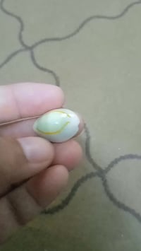 خرزة • للبيع