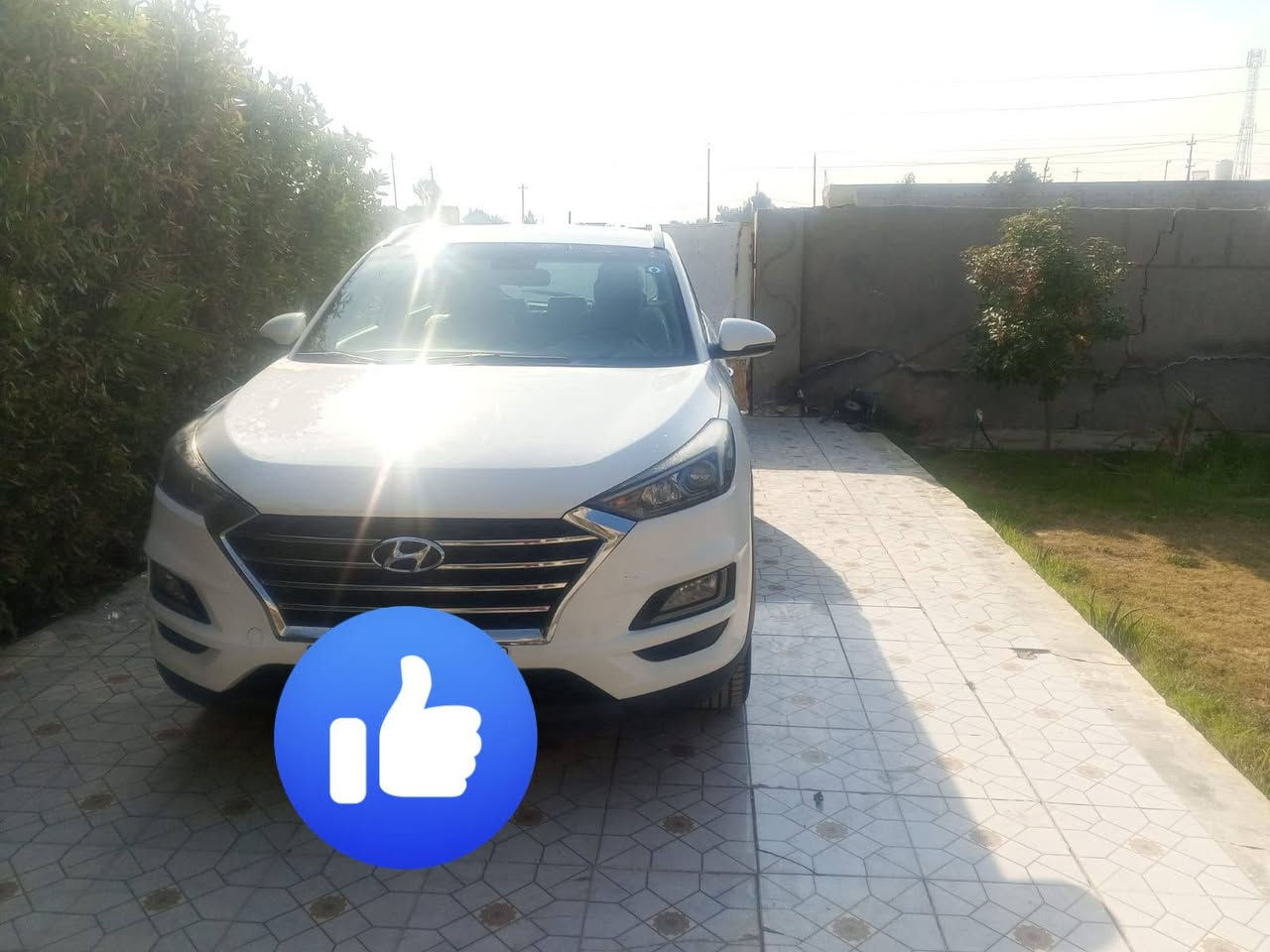 سلام عليكم
توسان چيكي . جاهزه . مكفوله ملاحظات بسيطة جدا . بدون صبغ 
2020 . رقم بغداد . بأسمي . تخم تابر صدر جديد . السعر  188
***********
***********
