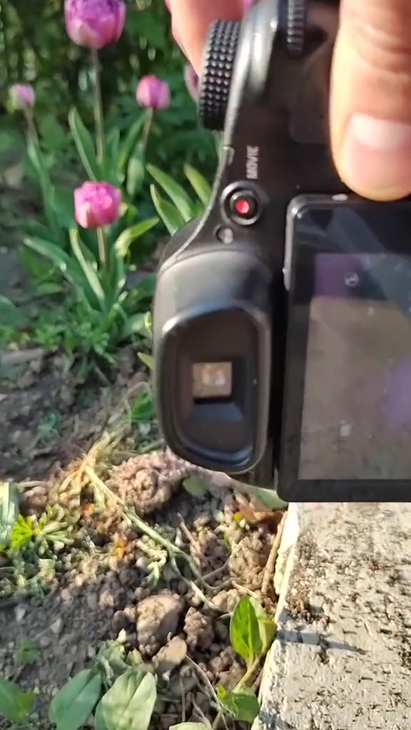 كاميرا سوني HX300
زوم خرافي 50X 🔥 📸🔥
🚀 زوم يوصل لأبعد لقطة 
 تصوير فيديو + صور HD
 كاميرا قوية ومجربة وتتحمل شغل المواكب والمناسبات
 نظيفة وتشتغل 100% بدون مشاكل 
 عدسة قوية وثابتة 
كاميرا جاهزة وكاملة 
📌 مناسبة جداً لـ:
تغطية المواكب الحسينية 🔥
الزيارات والمجالس
تصوير فعاليات ومناسبات
يوجد توصيل 🚖


**إذا كنت صاحب هذا الإعلان وتريد حذفه لأي سبب، رجاءا أرسل رسالة إلى الدعم الفني**