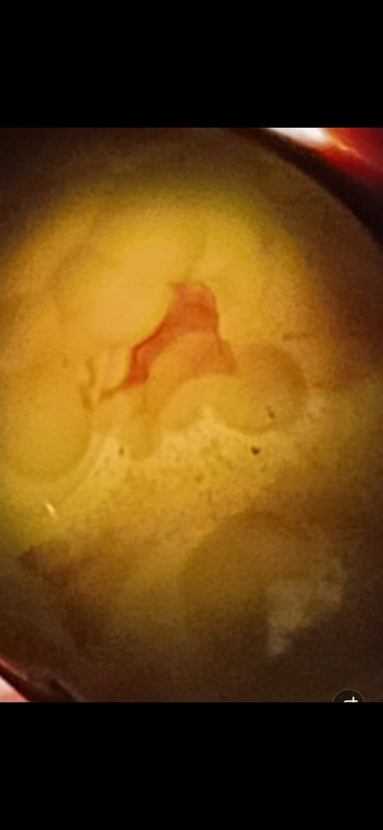 سليماني قديم مصور تصوير رياني السعر 150
***********
بغداد
