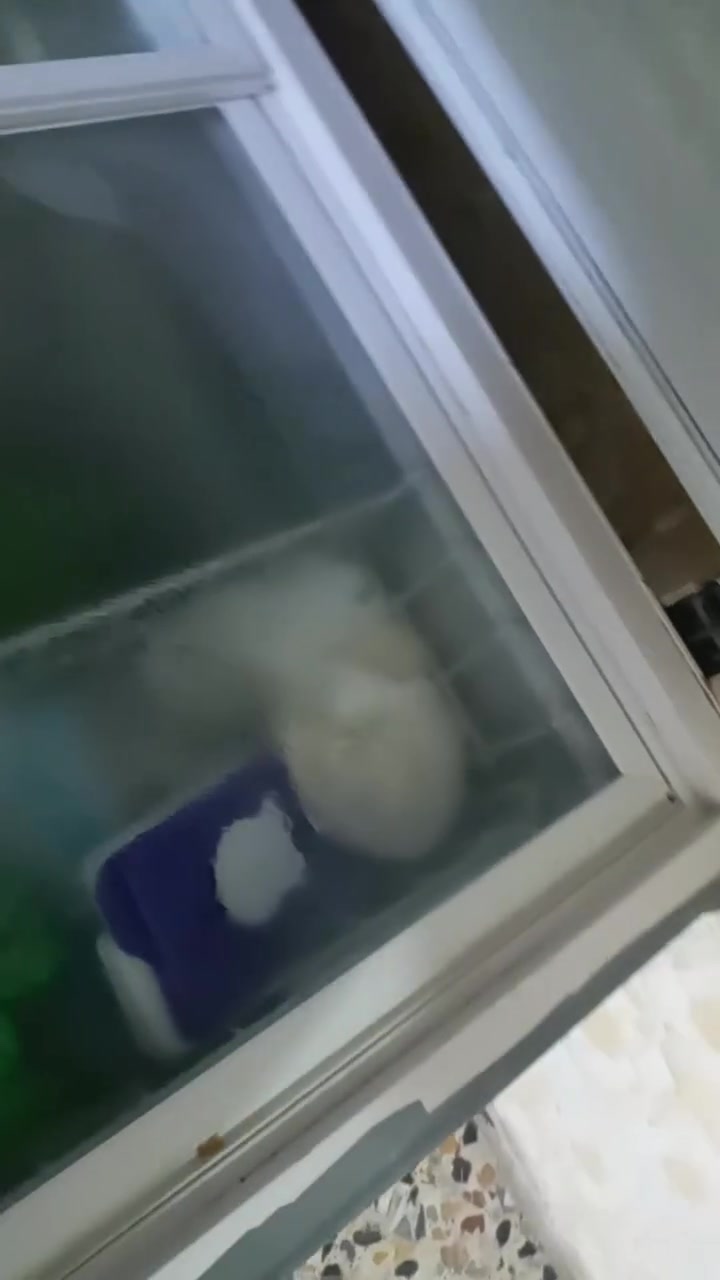 السلام عليكم ورحمة الله وبركاته مجمده للبيع ب١٢٥


**إذا كنت صاحب هذا الإعلان وتريد حذفه لأي سبب، رجاءا أرسل رسالة إلى الدعم الفني**
