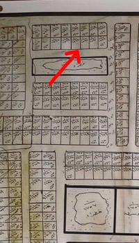 حي الصديق • ٢٥٠م • طابو ملك