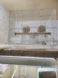 خانة ٦٠×٤٠×٤٠ • خانة ٦٠×٤٠ • كربلاء الحر