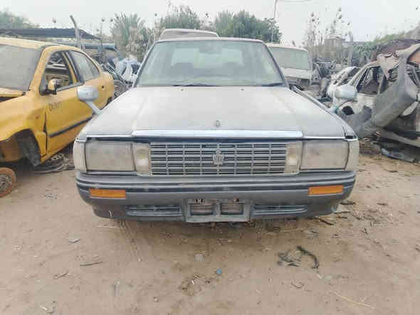 تفصيخ أرنب مكان بابل مشروع مسيب *********** يحتاج غراض يتصل
