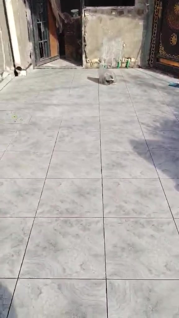 سلام عليكم خلفه سيراميك ***********
